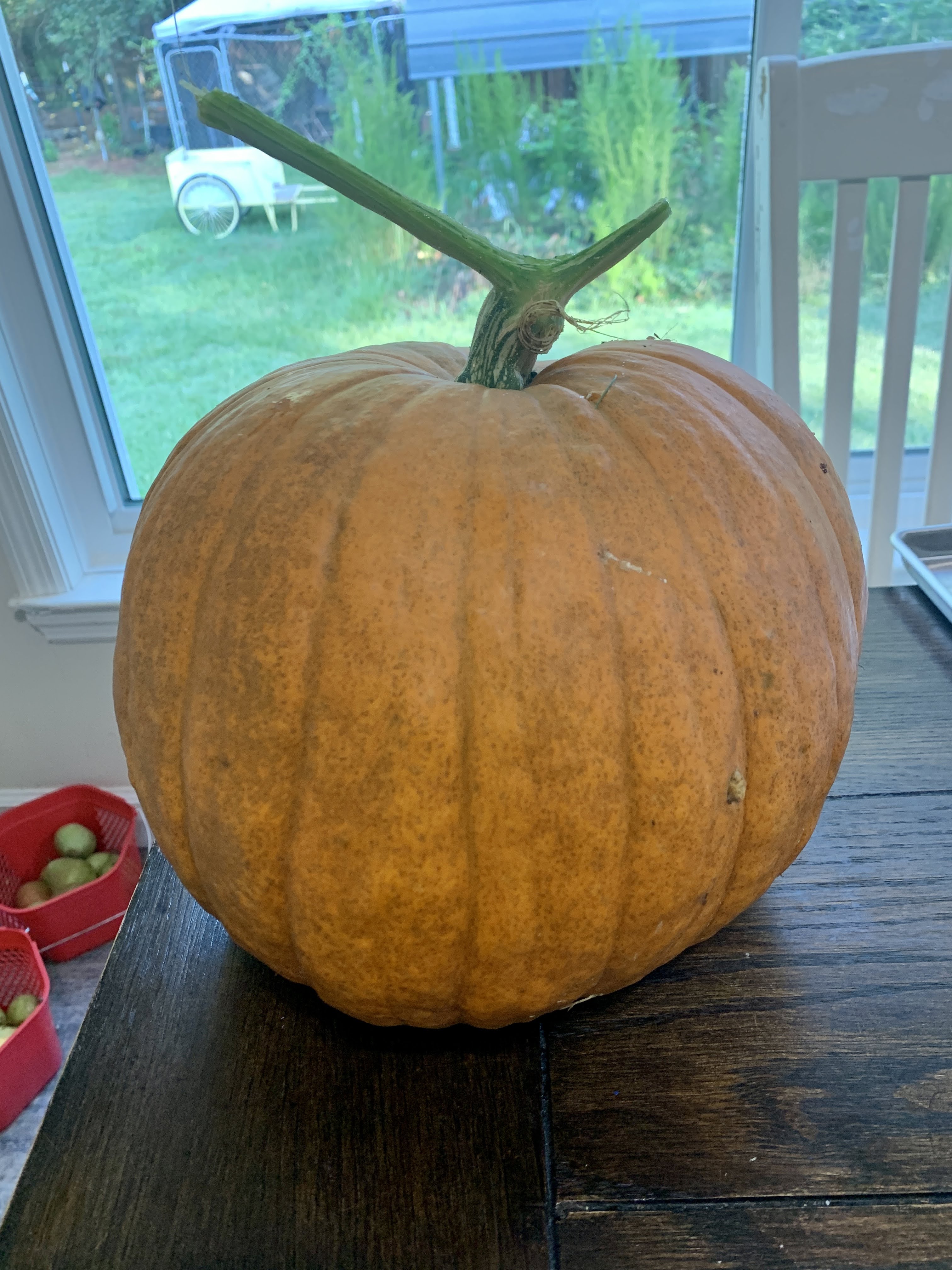 Harvest 2022